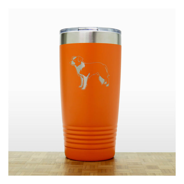 Orange - Border Collie 20 oz Insulated Tumbler - Copyright Hues in Glass